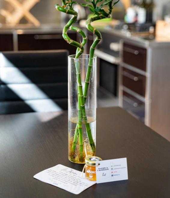 Bamboo Mini Apartment Cuneo Ngoại thất bức ảnh